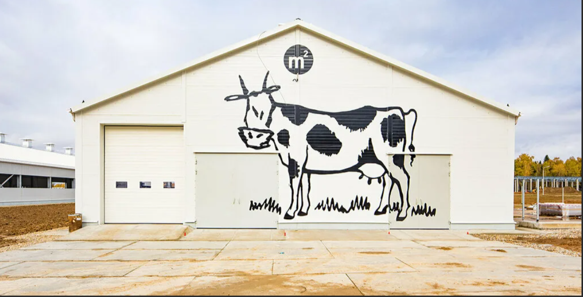 Как козий сыр может помочь работникам СТО?