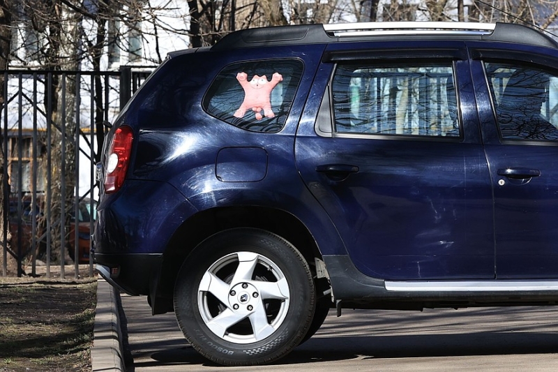 Renault Duster I c пробегом: идеальные моторы, золотой кардан и мокрая рулевая рейка