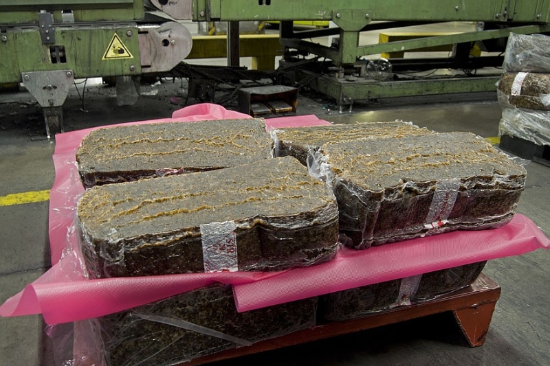 Дайте мне автограф: как и какие шины выпускает завод Ikon Tyres во Всеволожске