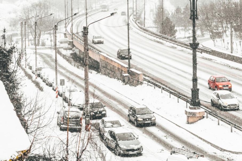 Получившие гражданство РФ не смогут водить машину в России