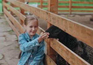 Организация семейного отдыха в Москве: Как провести время с пользой и удовольствием