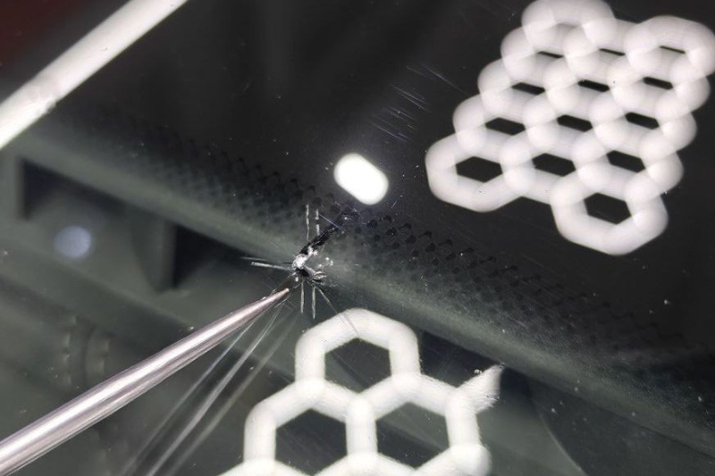 Сколы, трещины, полировка и эффект линзы: как ремонтируют автомобильные стёкла