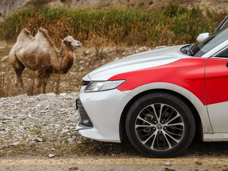 Для молодых и активных: тест летних шин Torero MP47