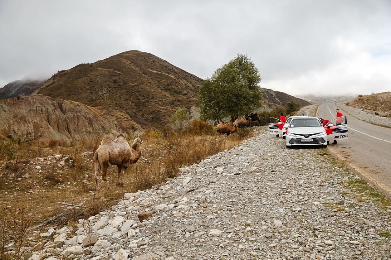 Для молодых и активных: тест летних шин Torero MP47