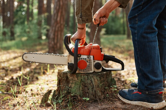Критерии выбора бензопилы