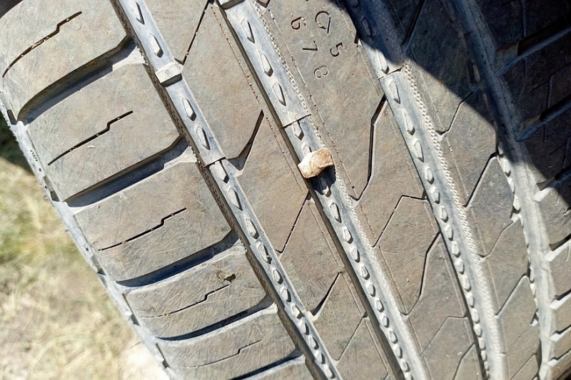 Бодрые камнеудалители и спящие грунтозацепы: тест шин Ikon Character Aqua SUV