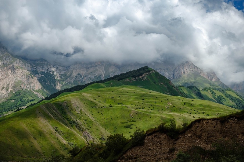 Бодрые камнеудалители и спящие грунтозацепы: тест шин Ikon Character Aqua SUV