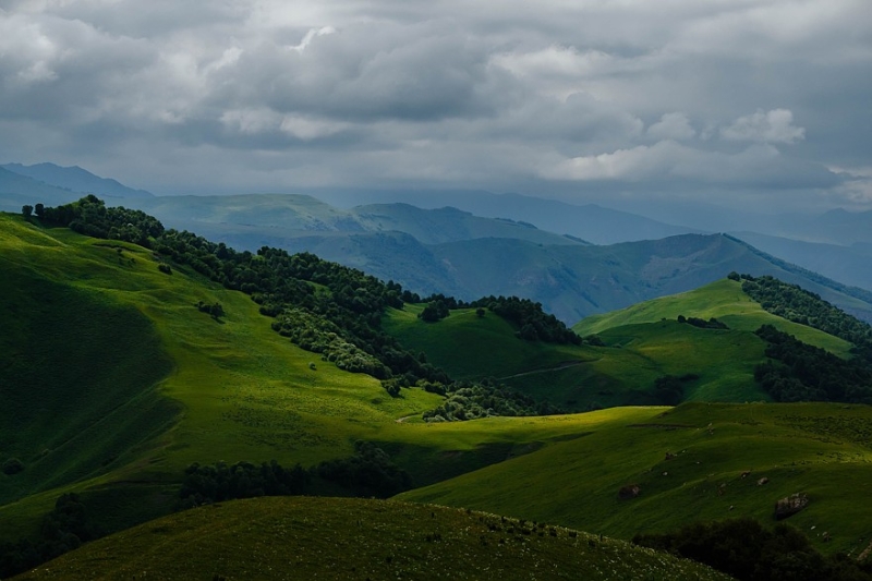 Бодрые камнеудалители и спящие грунтозацепы: тест шин Ikon Character Aqua SUV