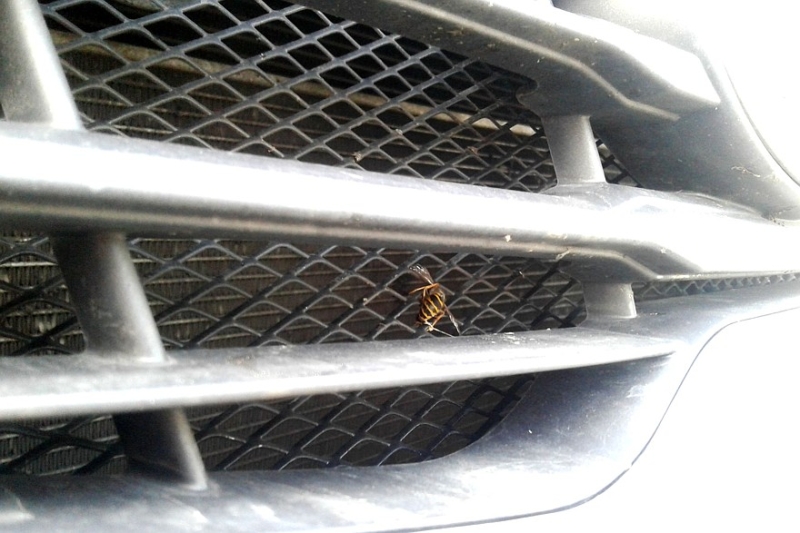 Главное - не повредить: как, зачем и когда мыть радиаторы