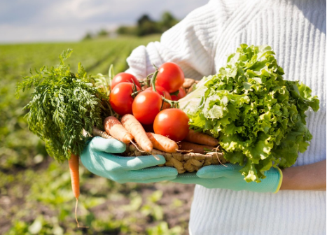 Семяныч безопасность: надёжная защита клиентов на каждом этапе