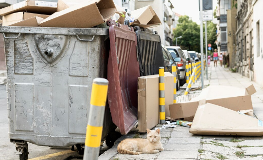 Что нужно знать о вывозе строительного мусора: от норм до практических советов