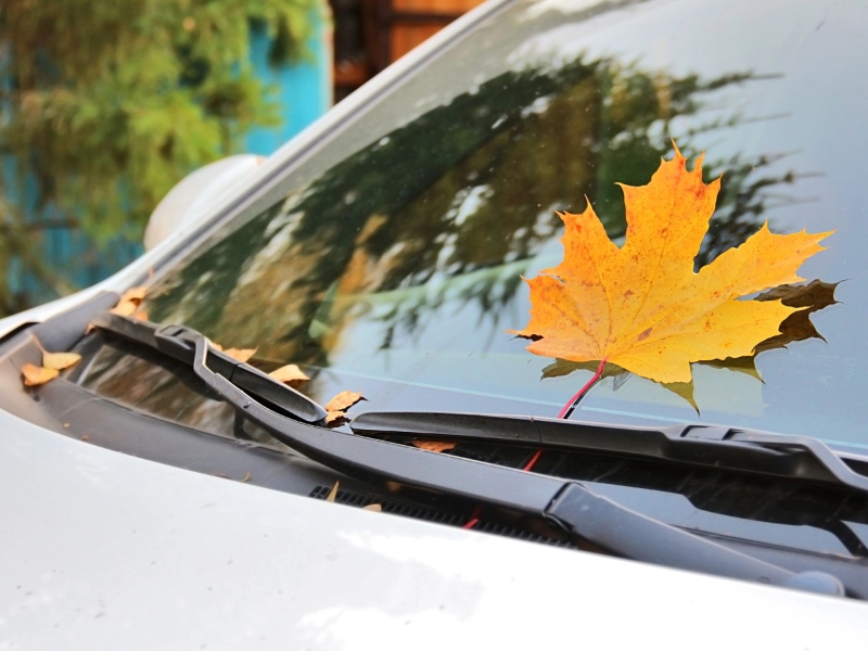 Дёргается, троит, потеет и не тормозит: почему осенью машина жалуется на здоровье