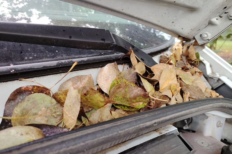 Дёргается, троит, потеет и не тормозит: почему осенью машина жалуется на здоровье