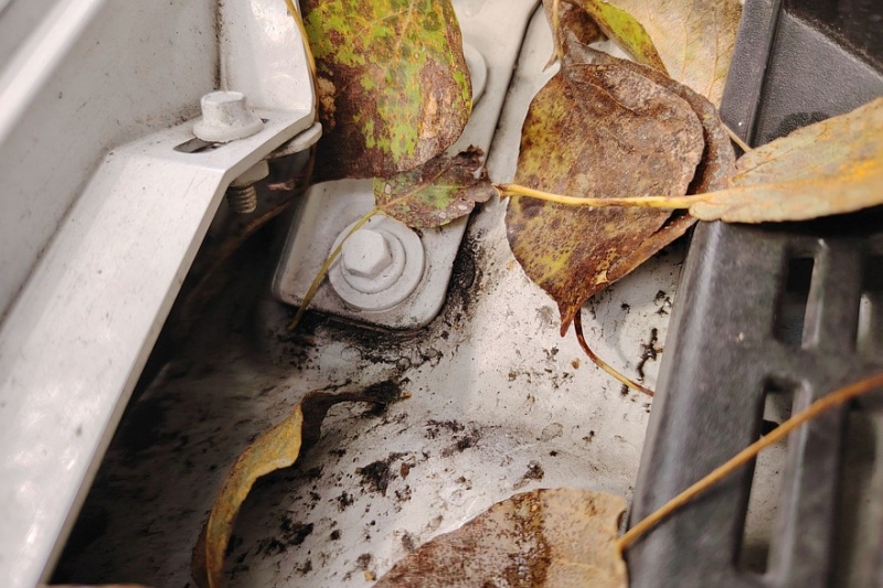 Дёргается, троит, потеет и не тормозит: почему осенью машина жалуется на здоровье