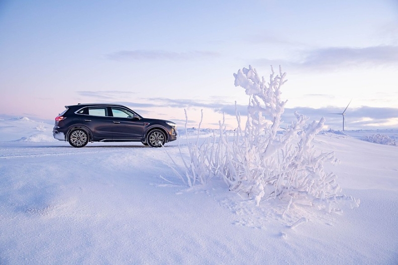 Автограф старого кавалериста: тест шин Ikon Autograph Ice 9 и Ikon Autograph Snow 3