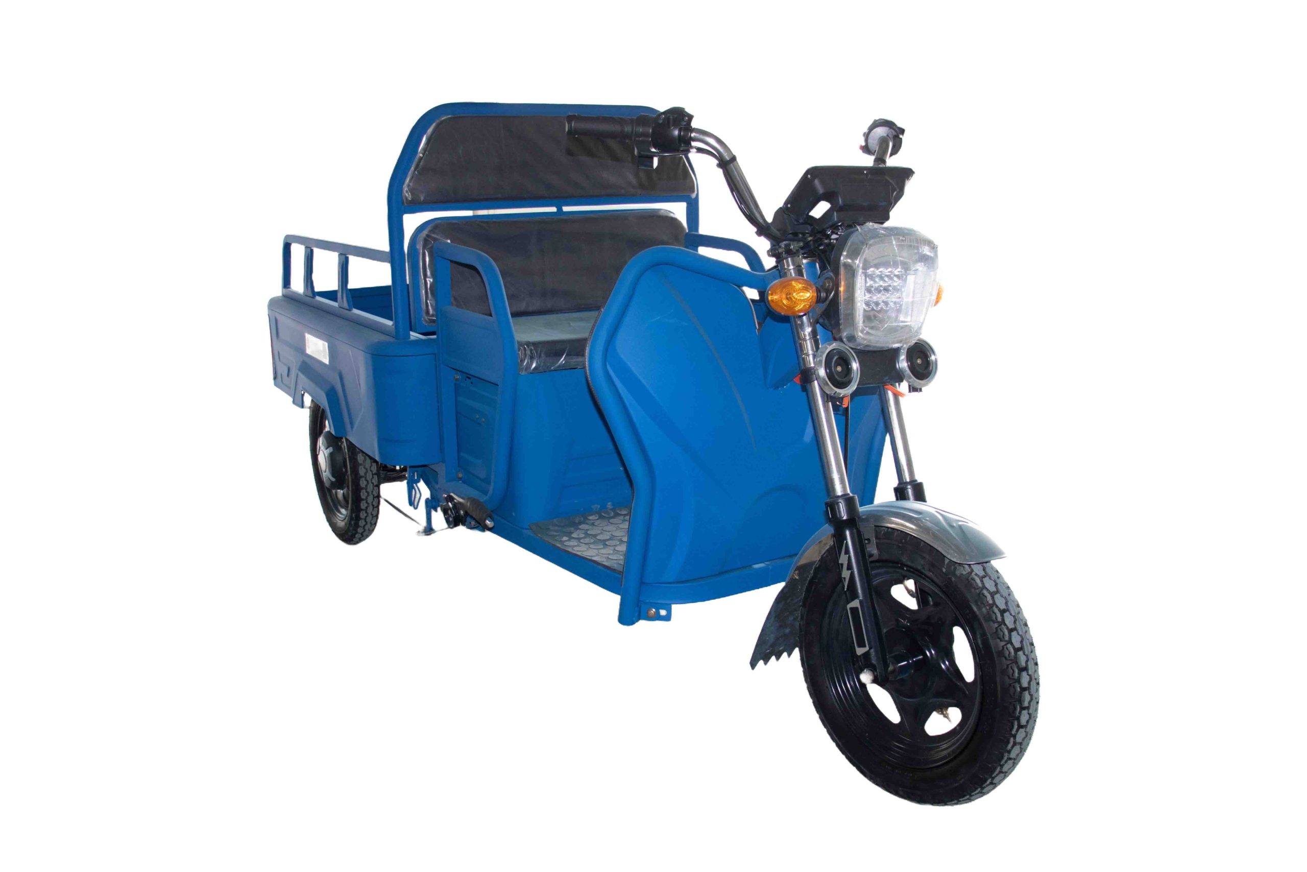 Как выбрать электротрицикл?