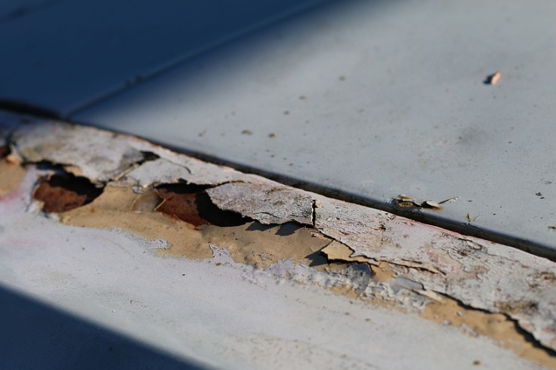 Стандартизация рынка продаж автомобилей с пробегом: Pango Cars отметила свое двухлетие